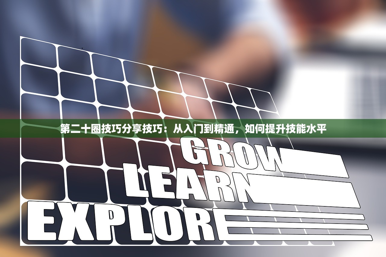 第二十圈技巧分享技巧：从入门到精通，如何提升技能水平