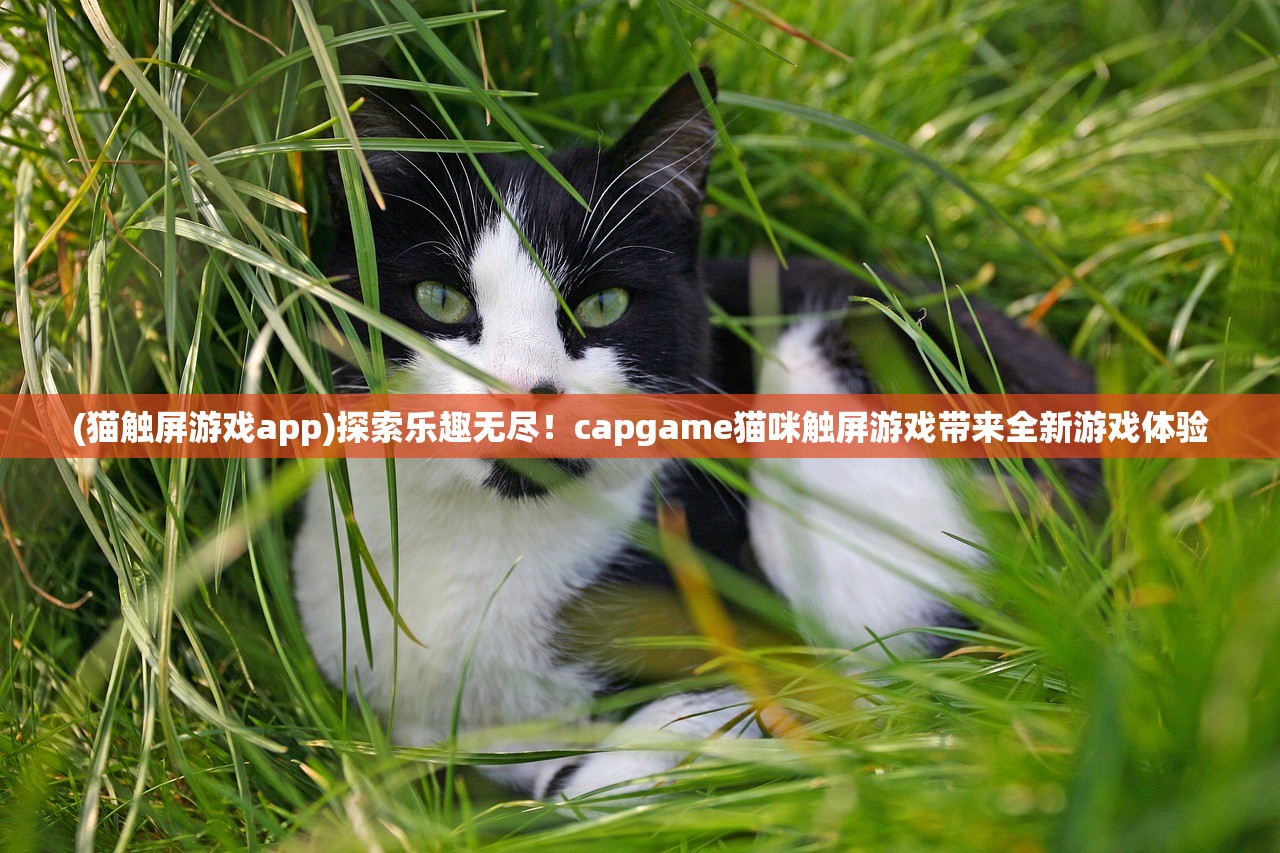 (猫触屏游戏app)探索乐趣无尽！capgame猫咪触屏游戏带来全新游戏体验