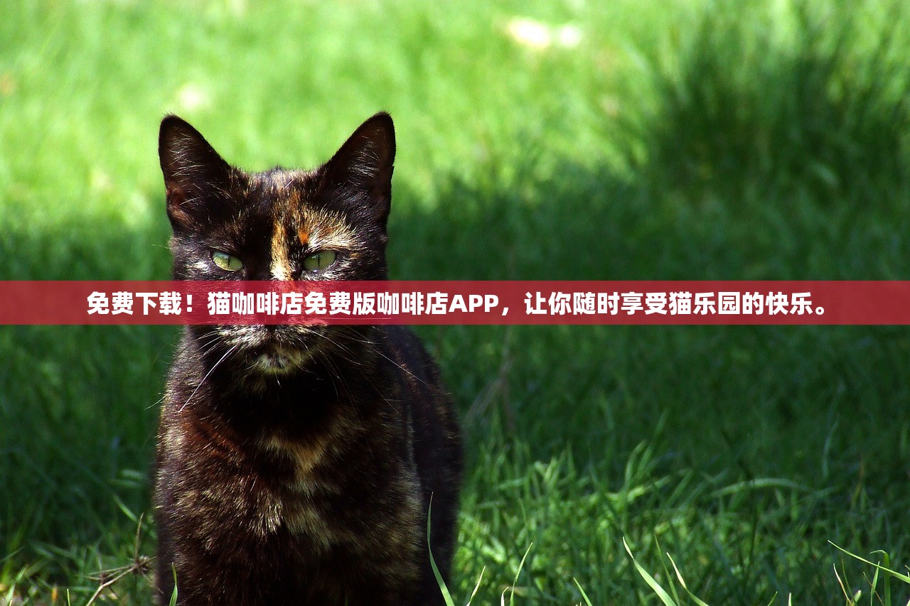 免费下载！猫咖啡店免费版咖啡店APP，让你随时享受猫乐园的快乐。