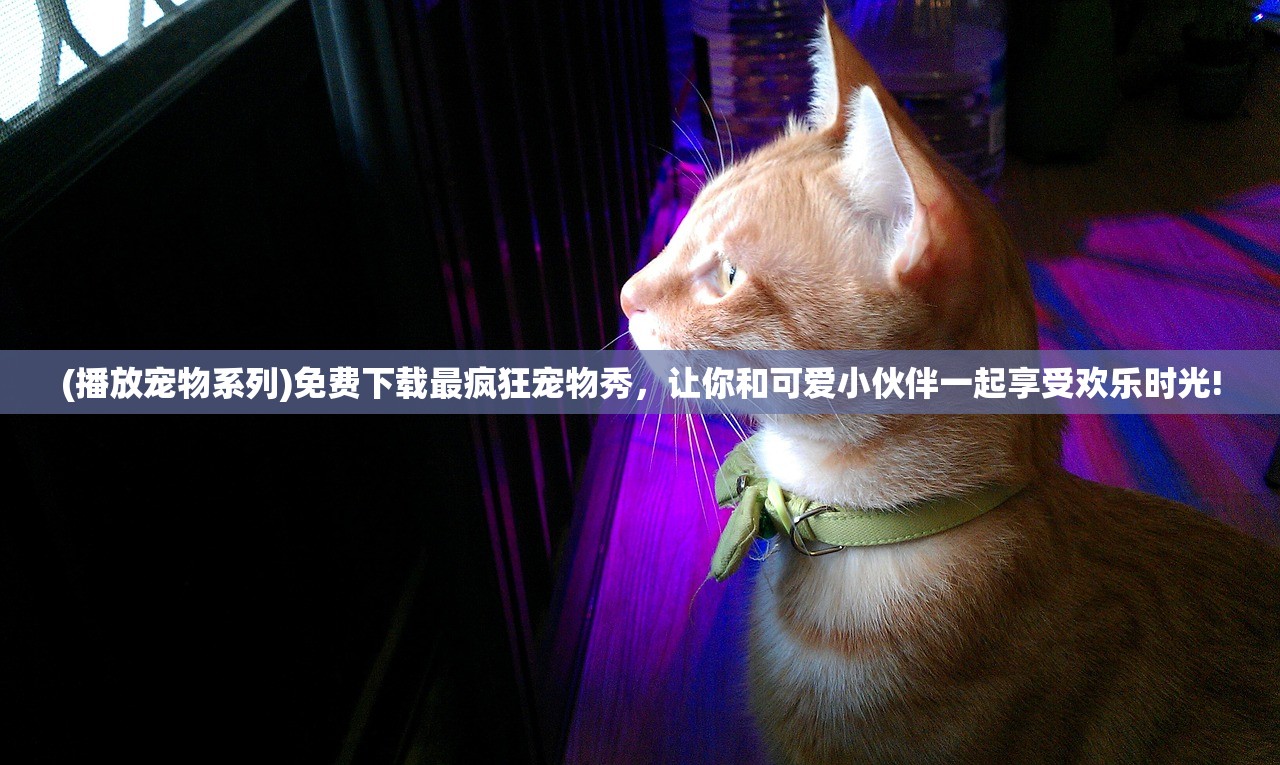 (播放宠物系列)免费下载最疯狂宠物秀，让你和可爱小伙伴一起享受欢乐时光!