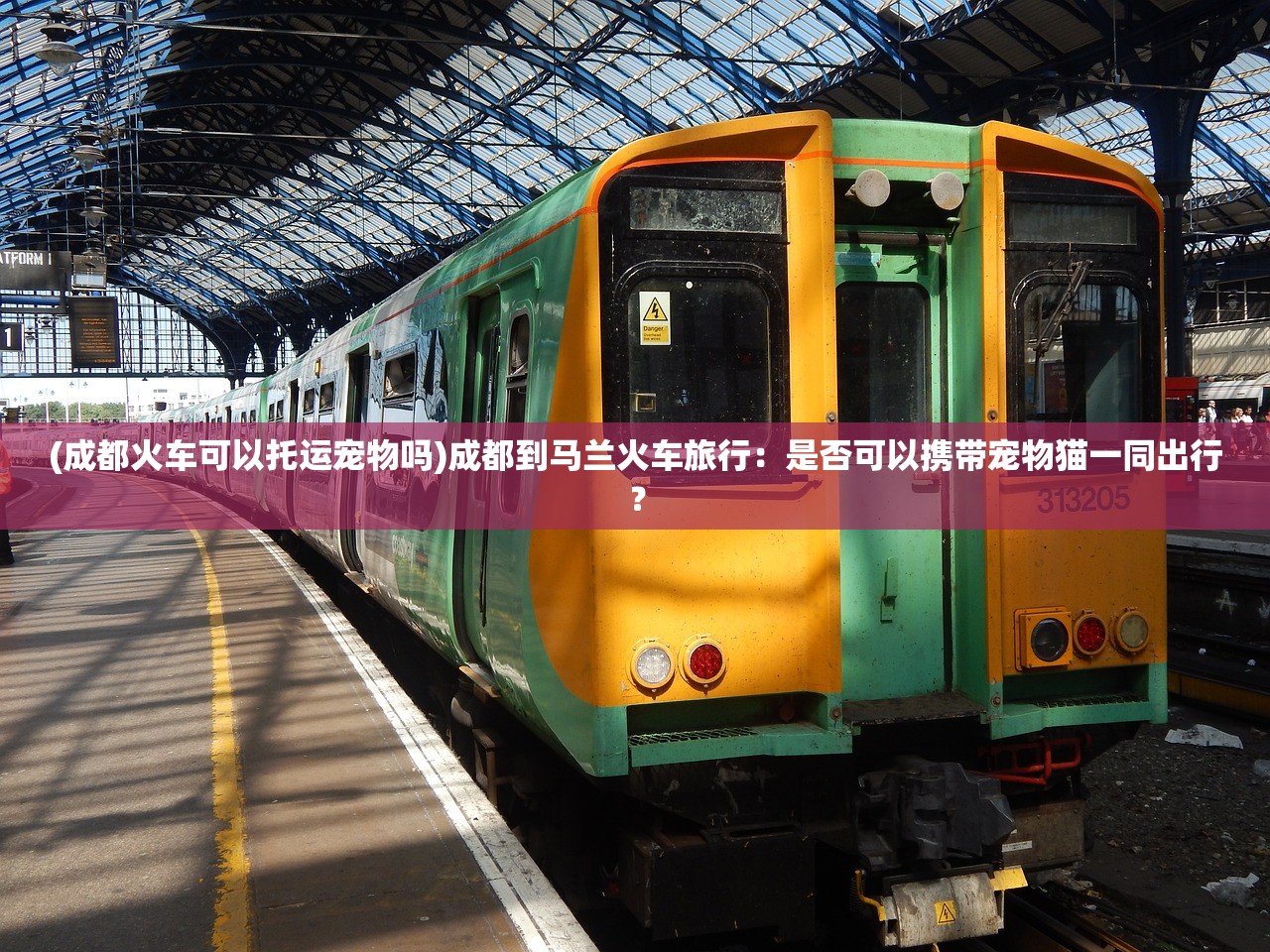 (成都火车可以托运宠物吗)成都到马兰火车旅行：是否可以携带宠物猫一同出行？