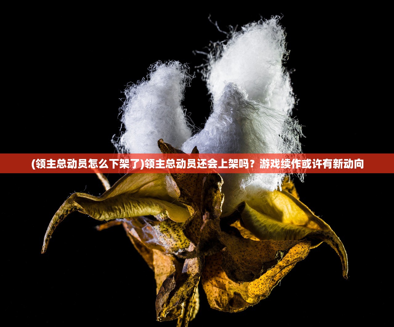 (领主总动员怎么下架了)领主总动员还会上架吗？游戏续作或许有新动向