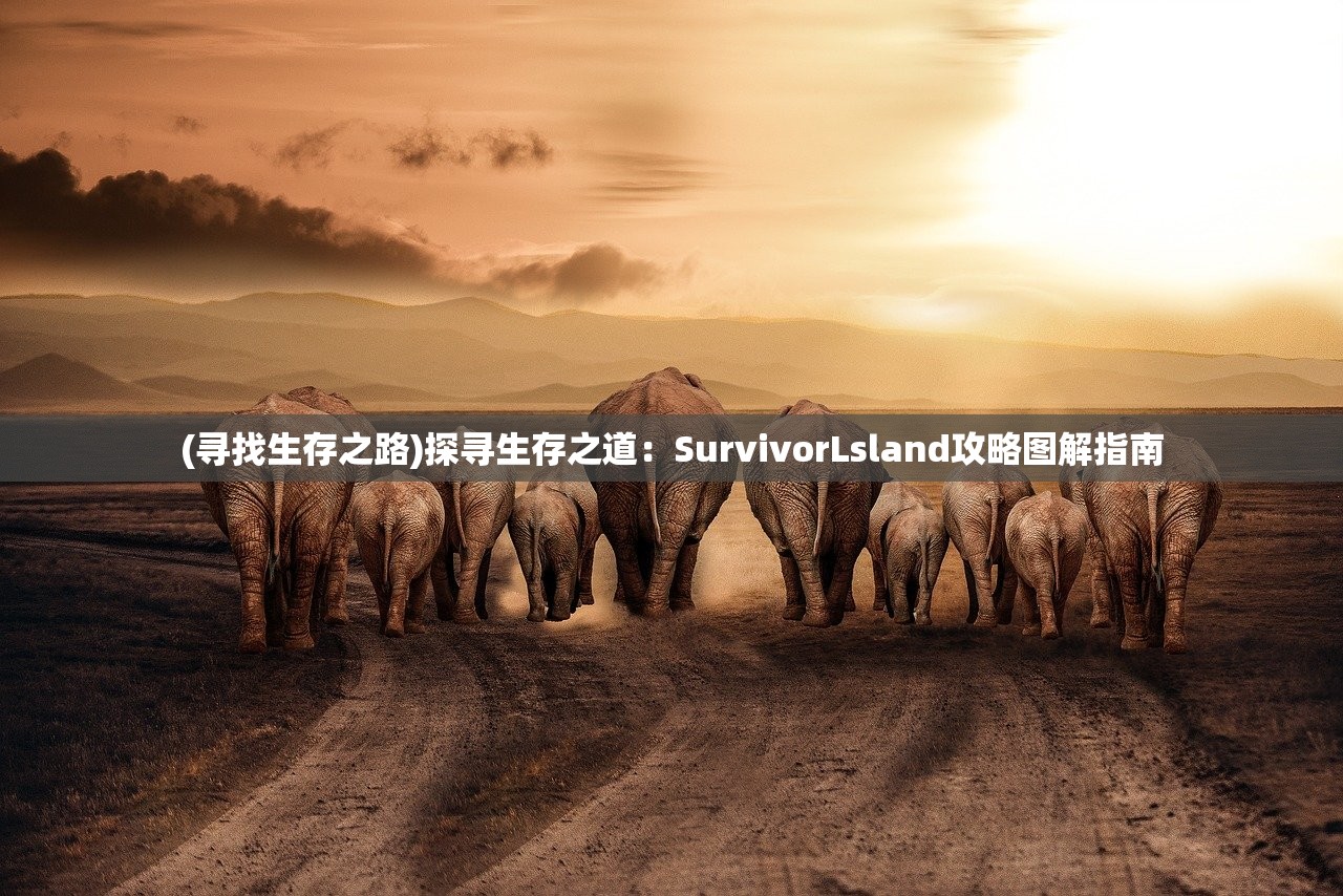 (寻找生存之路)探寻生存之道：SurvivorLsland攻略图解指南