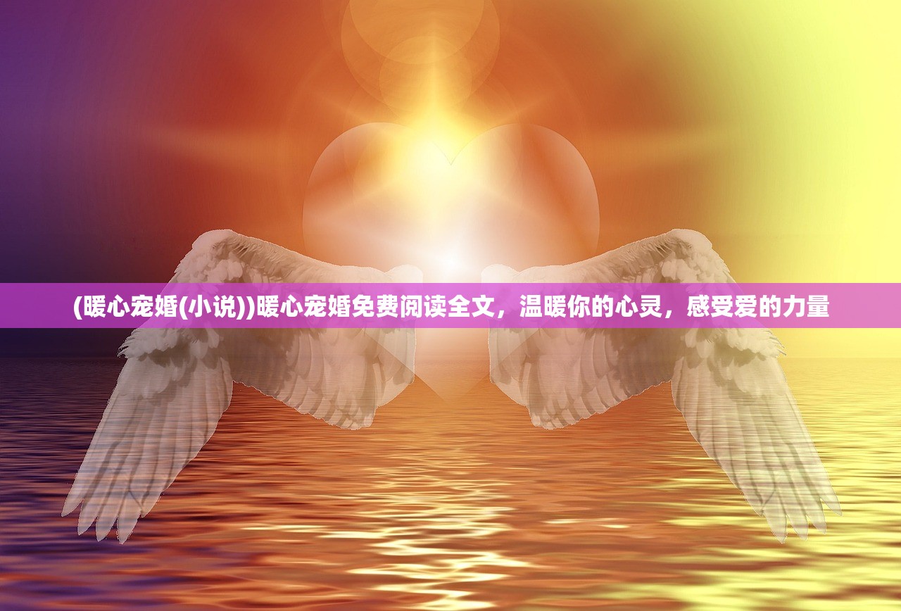 (暖心宠婚(小说))暖心宠婚免费阅读全文，温暖你的心灵，感受爱的力量