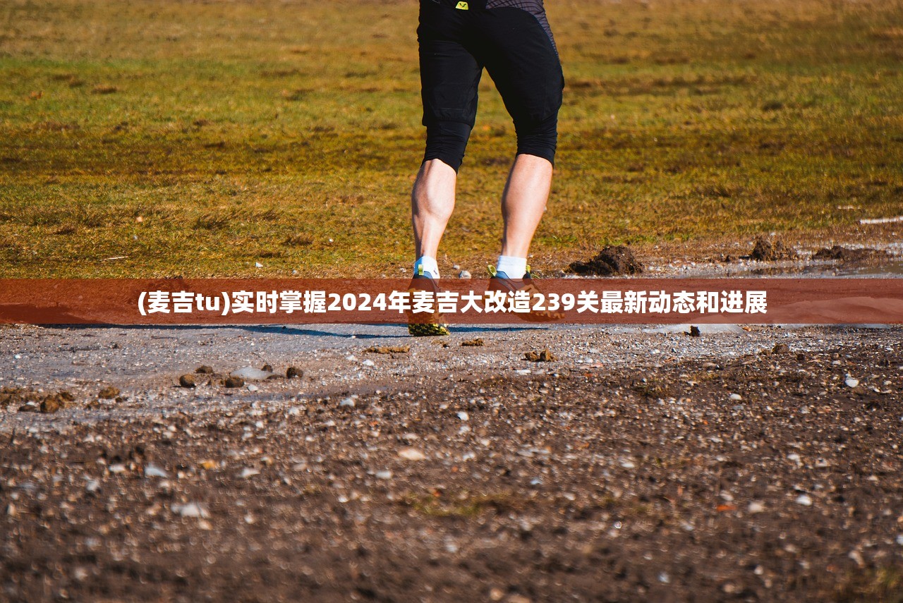 (麦吉tu)实时掌握2024年麦吉大改造239关最新动态和进展