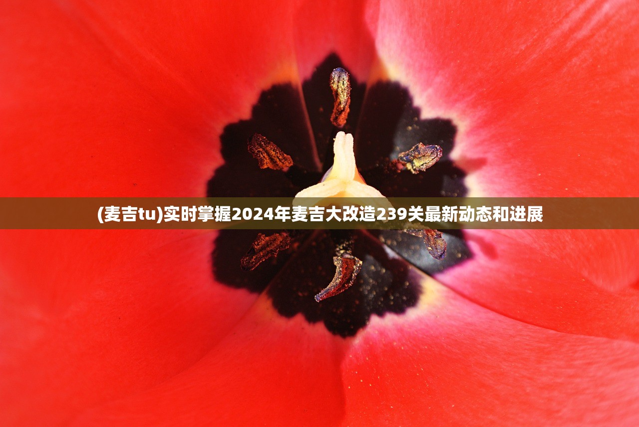 (麦吉tu)实时掌握2024年麦吉大改造239关最新动态和进展