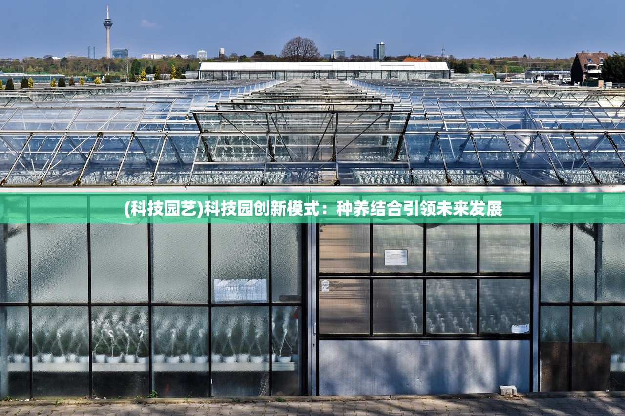 (海岛奇兵类似的游戏有哪些)海岛奇兵风格游戏探索，热带战场上的冒险与挑战