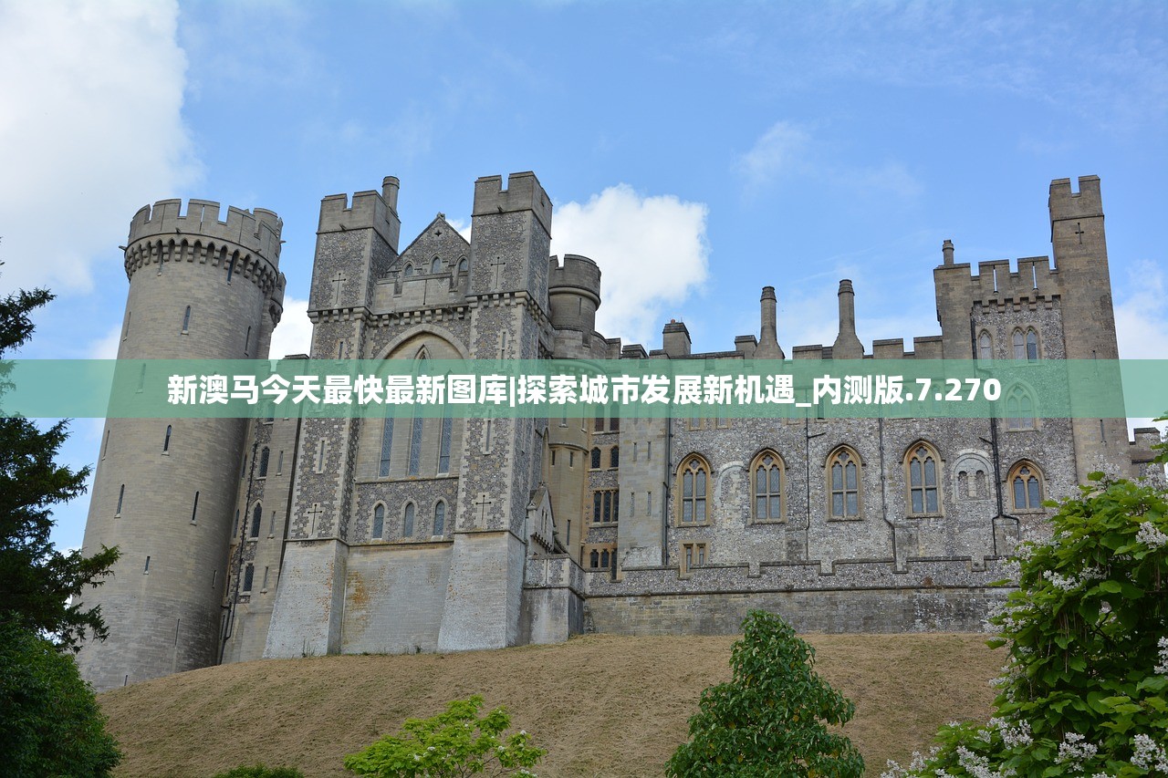 新澳马今天最快最新图库|探索城市发展新机遇_内测版.7.270