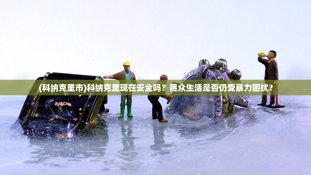 (科纳克里市)科纳克里现在安全吗？民众生活是否仍受暴力困扰？