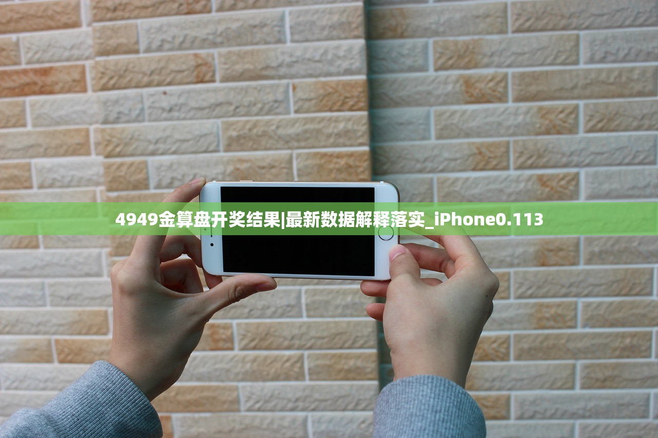 4949金算盘开奖结果|最新数据解释落实_iPhone0.113