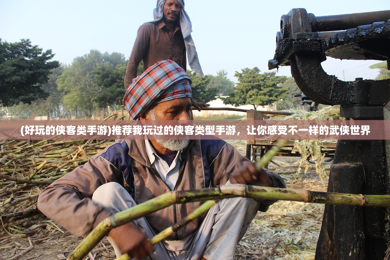 (皇后成长计划2弘昼攻略沈轻狂)皇后成长计划2，弘昼攻略详解及常见问题解答
