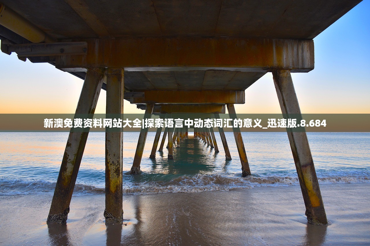 新澳免费资料网站大全|探索语言中动态词汇的意义_迅速版.8.684
