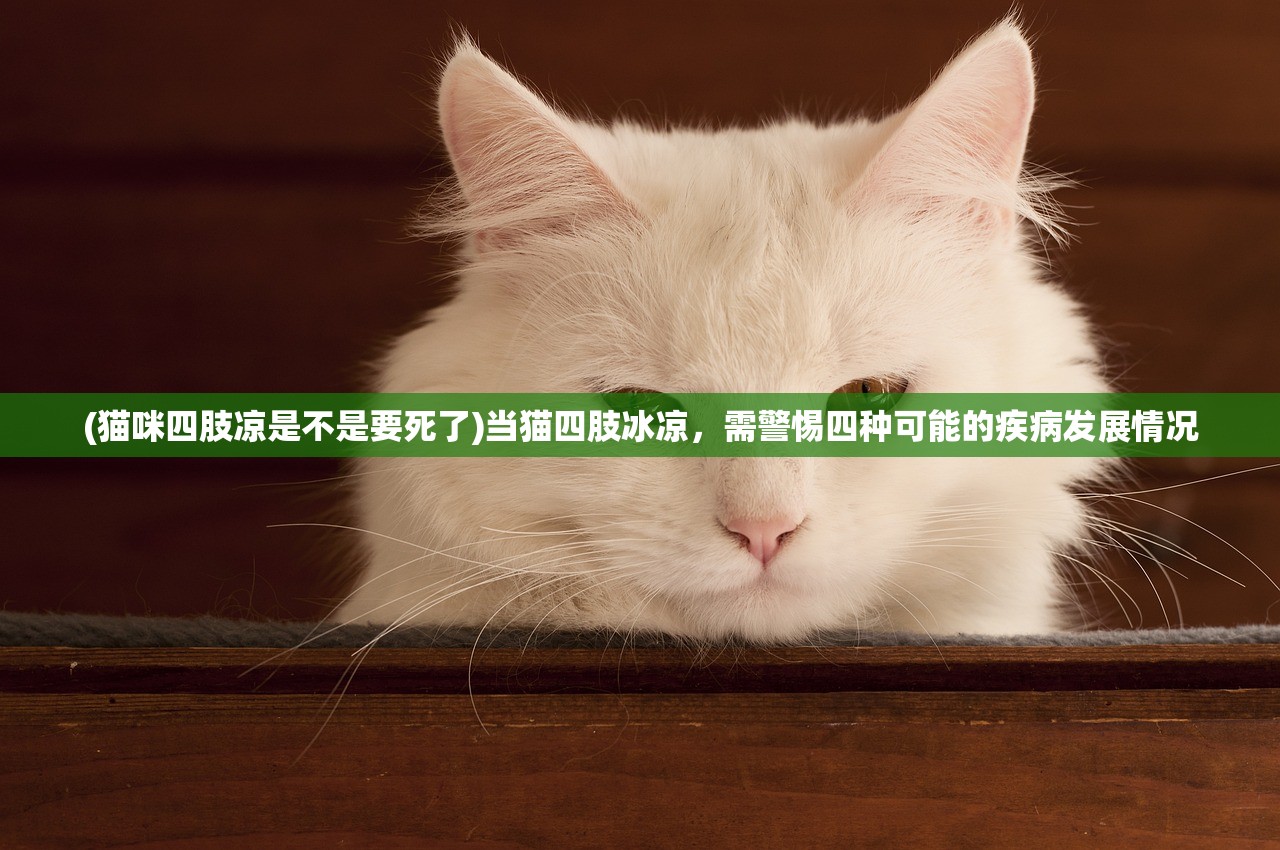 (猫咪四肢凉是不是要死了)当猫四肢冰凉，需警惕四种可能的疾病发展情况