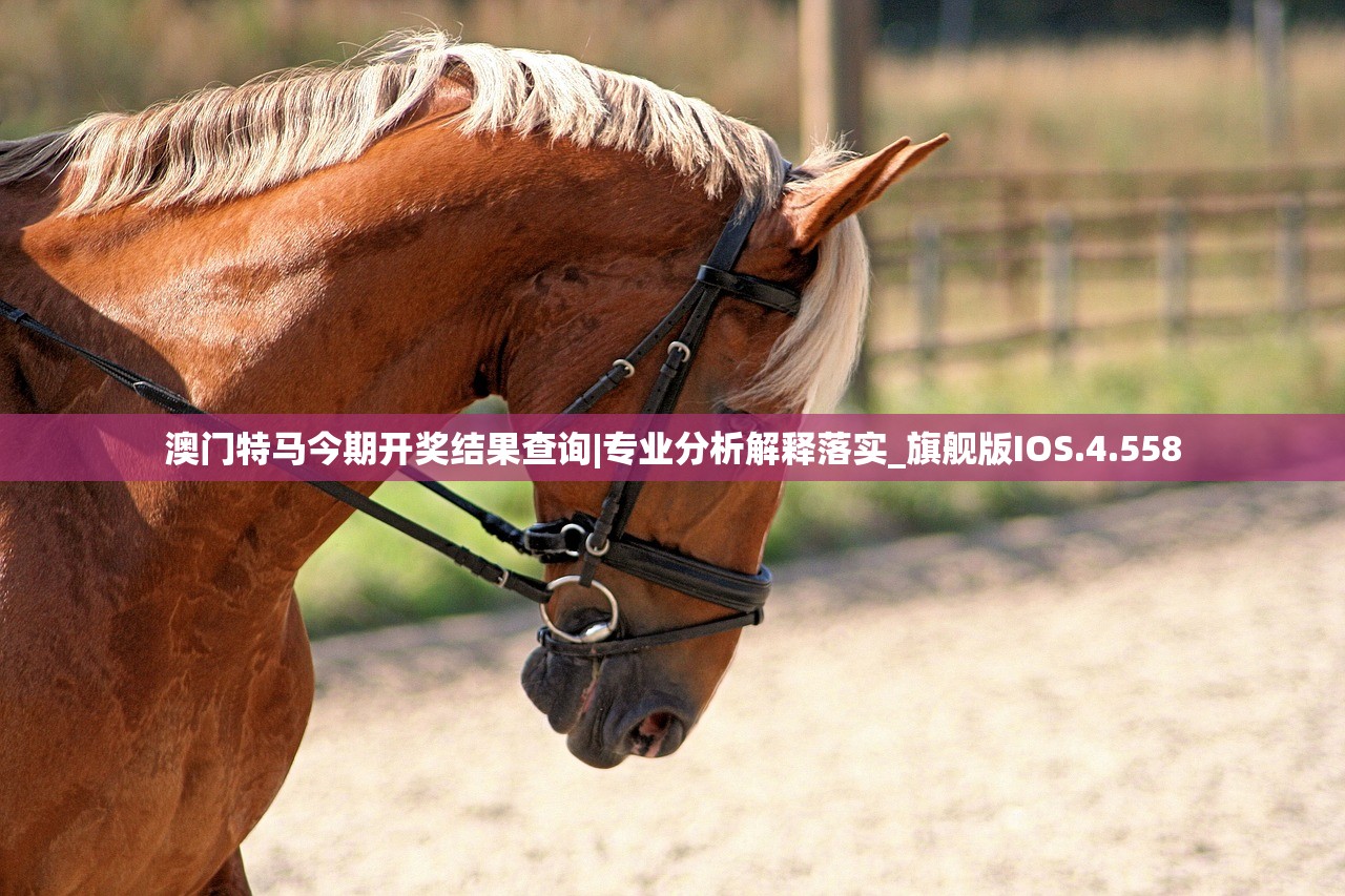 (廖添丁绝代凶贼之末日支线任务攻略)廖添丁绝代凶贼之末日支线任务，探索与挑战