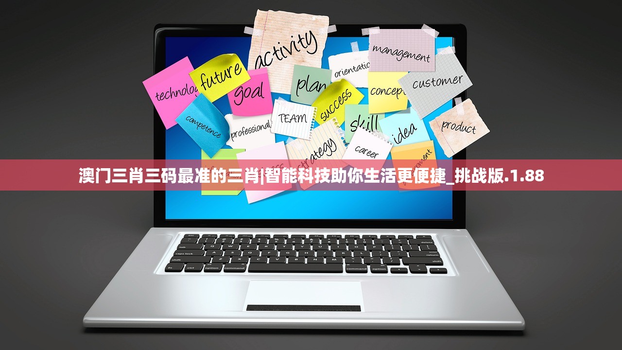 (代号DP海贼王)代号DP，深度探究与实际应用