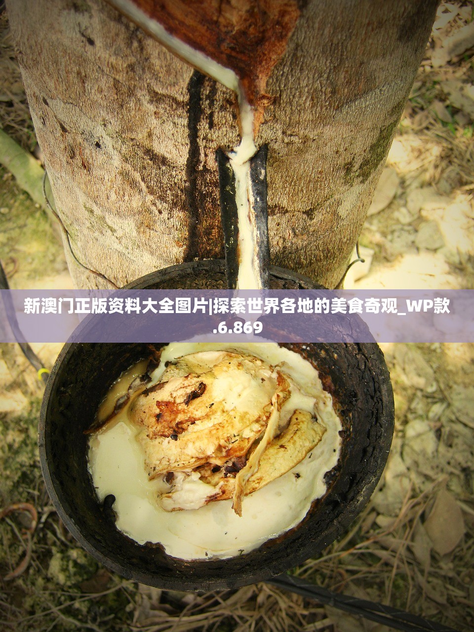 (荣耀时刻访谈节目是什么)荣耀时刻访谈节目，聚焦嘉宾背后的故事与成就