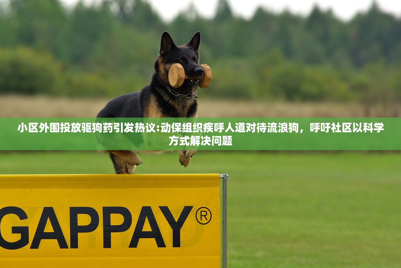 小区外围投放驱狗药引发热议:动保组织疾呼人道对待流浪狗，呼吁社区以科学方式解决问题