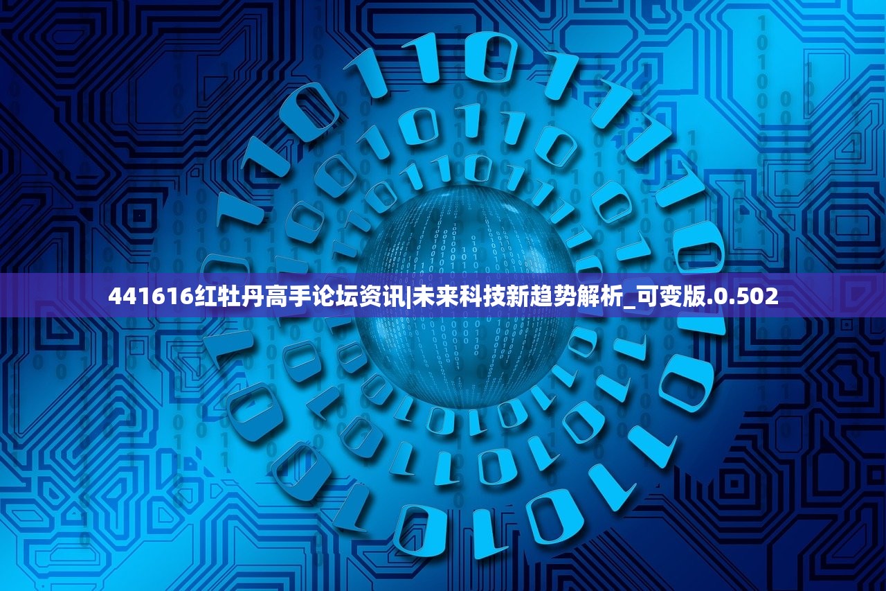(寻仙问情记哪个角色厉害)寻仙问情记版本综述，多元视角下的分析与介绍