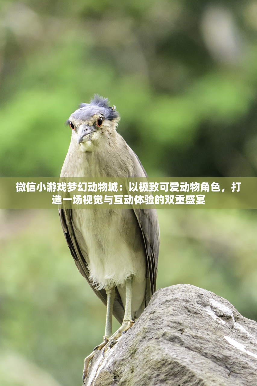(无名之辈什么意思呀?)无名之辈，探寻背后的深层含义