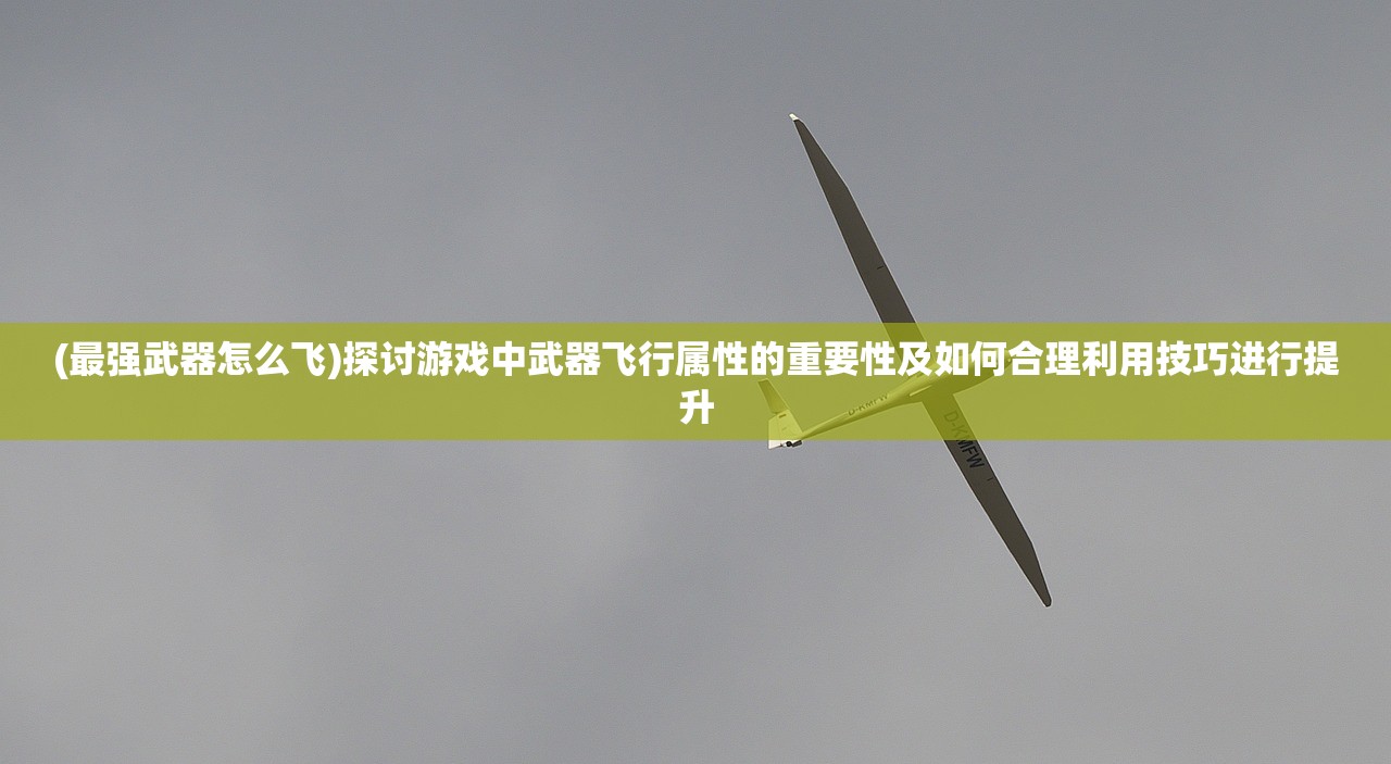 (最强武器怎么飞)探讨游戏中武器飞行属性的重要性及如何合理利用技巧进行提升