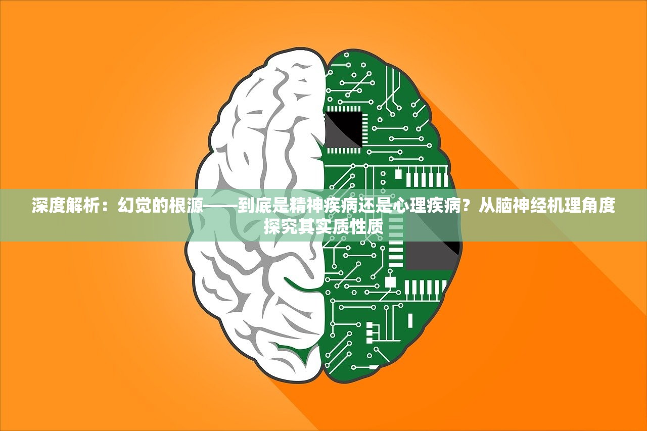 (潮灵王国起源最强阵容搭配 最强t0阵容分享)潮灵王国起源，探索最强阵容之路