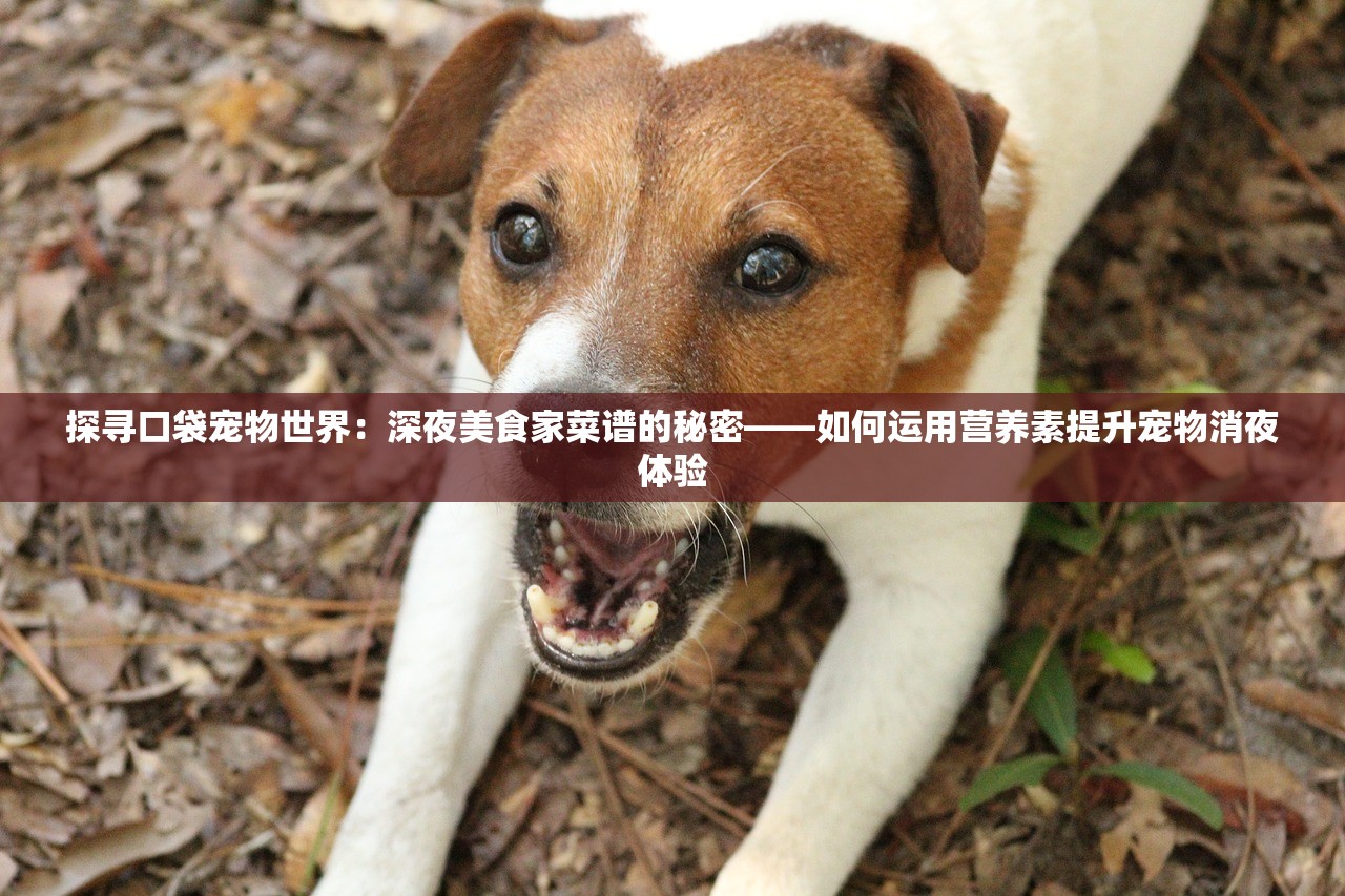 (黎明远征视频)黎明远征的意思，一场探索与启航的征程