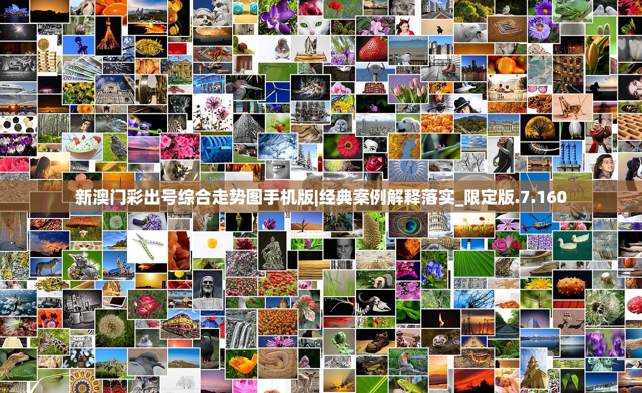 (龙珠大魔在线播放)龙珠大魔，深度解析与探索