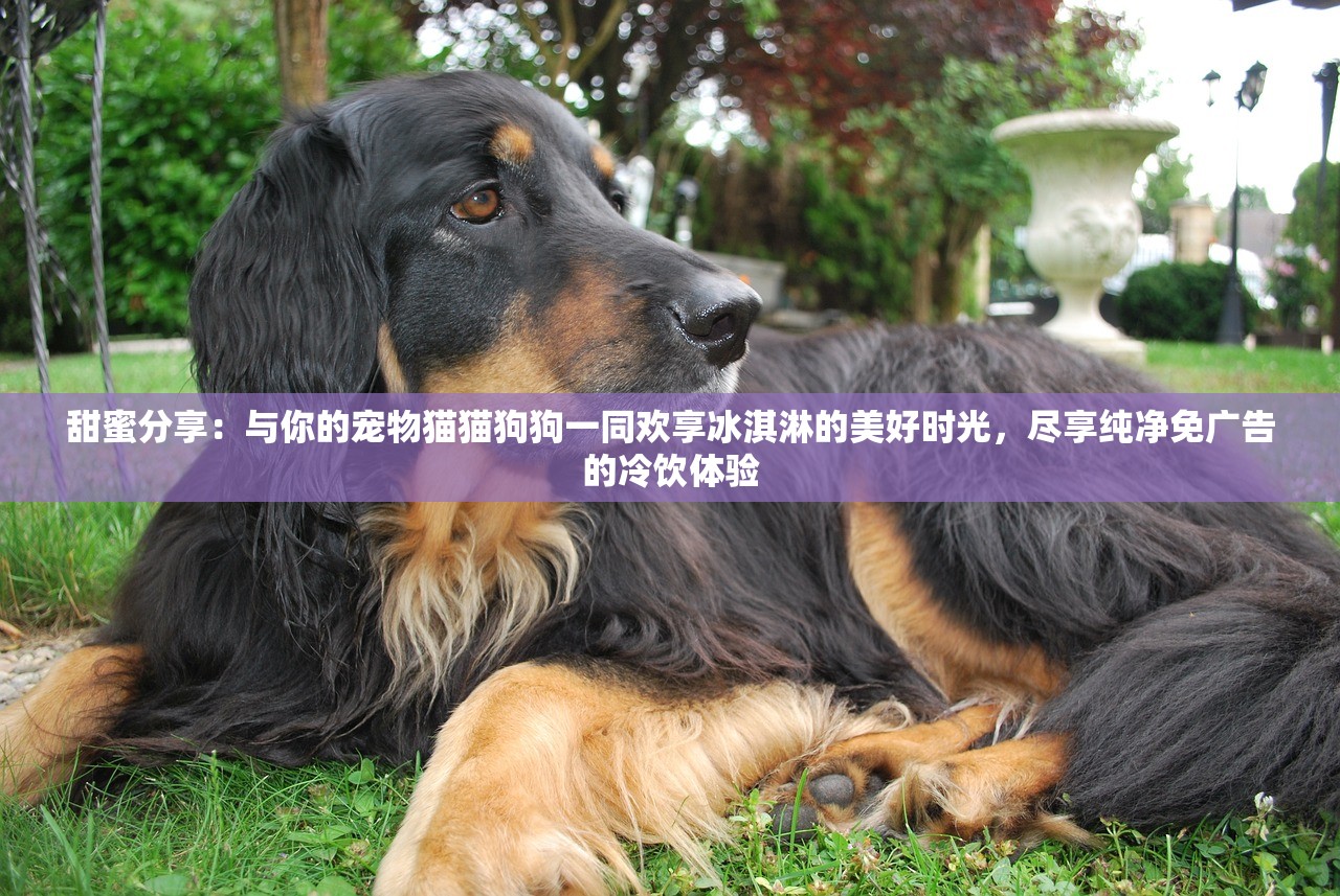 (海南东方发布雷电黄色预警是真的吗)海南东方发布雷电黄色预警，公众需警惕