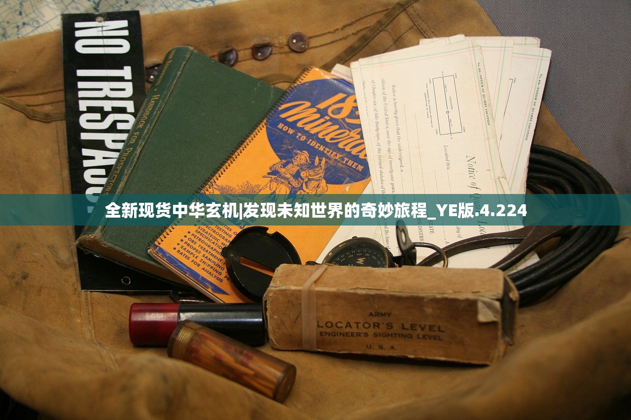 (代号z内置MOD菜单最新版)代号zny，深度解析及其多元应用