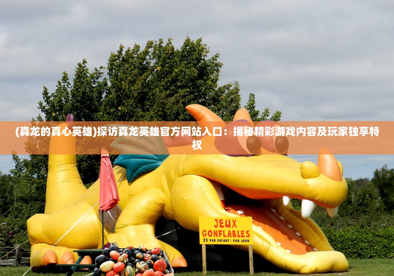 (冒险与征服攻略大全图解)冒险与征服攻略，游戏攻略详解及常见问题解答