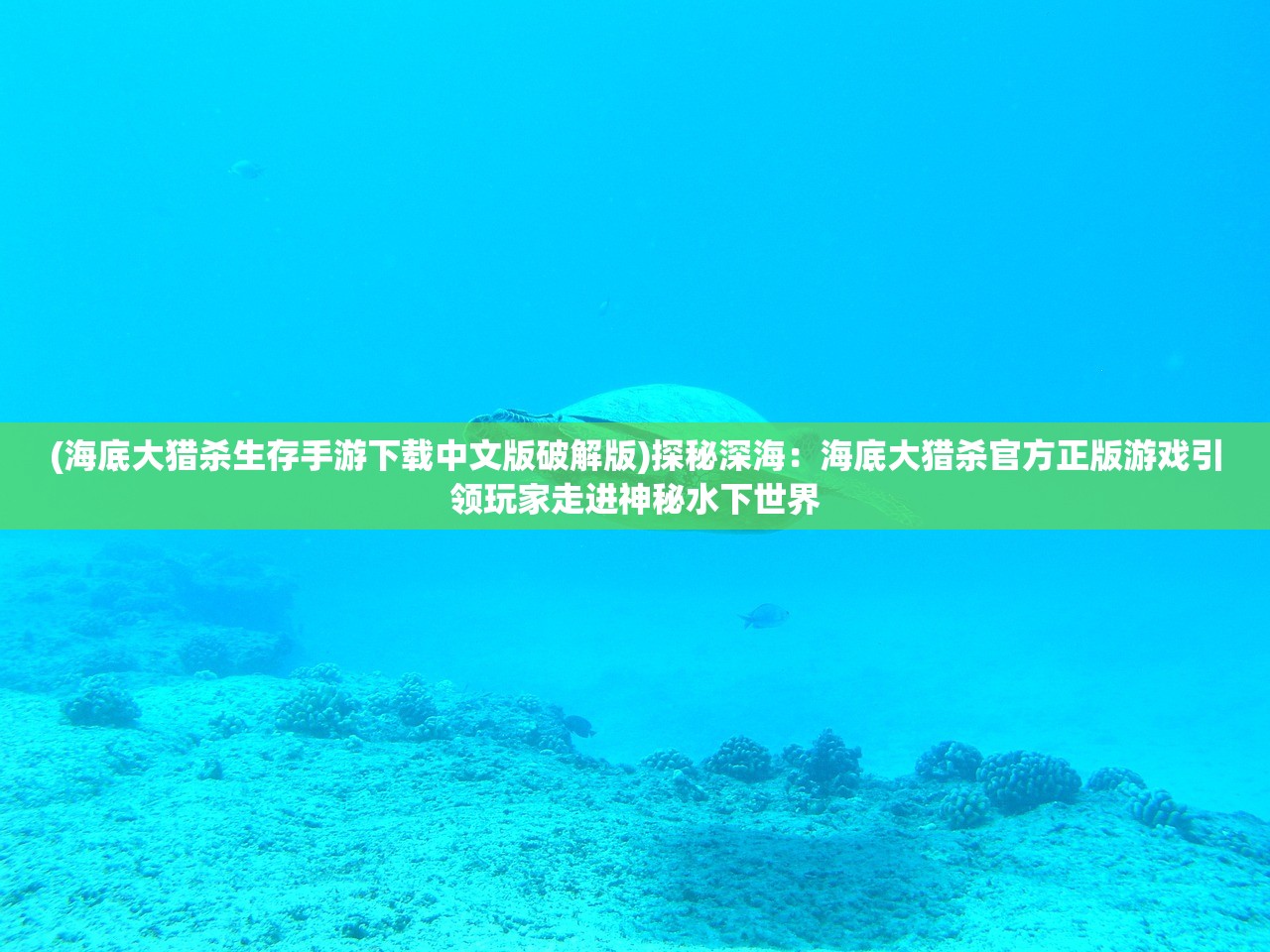 (黑石深渊宠物对战攻略大全)黑石深渊宠物对战攻略大全