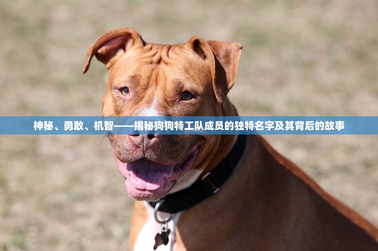 (2020红孩儿副本攻略大全)红孩儿副本攻略大全，观音的指引与策略解析