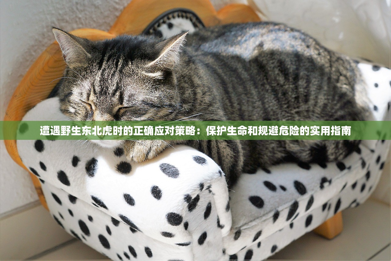 (少年大圣传下载)少年大圣传手游官方网站——探寻奇幻世界的门户