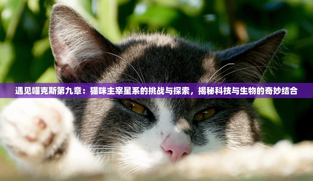 (沃泽特传奇礼包)腾讯沃泽特传奇攻略大全及常见问题解答