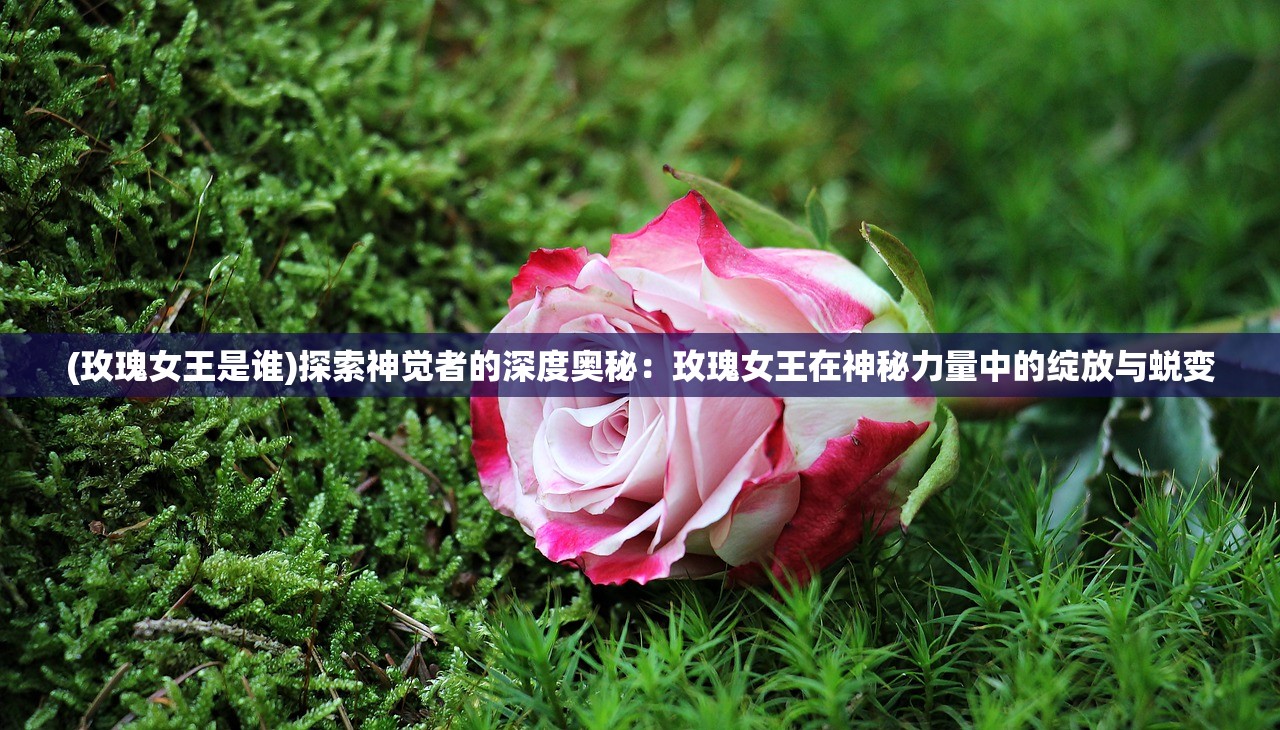 (战仙传官网)战仙传至尊版游戏，探索神秘仙侠世界的极致体验