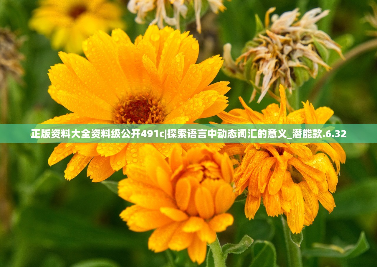 (三国九州是哪些)揭秘三国九州，探寻古代九州的真实面貌