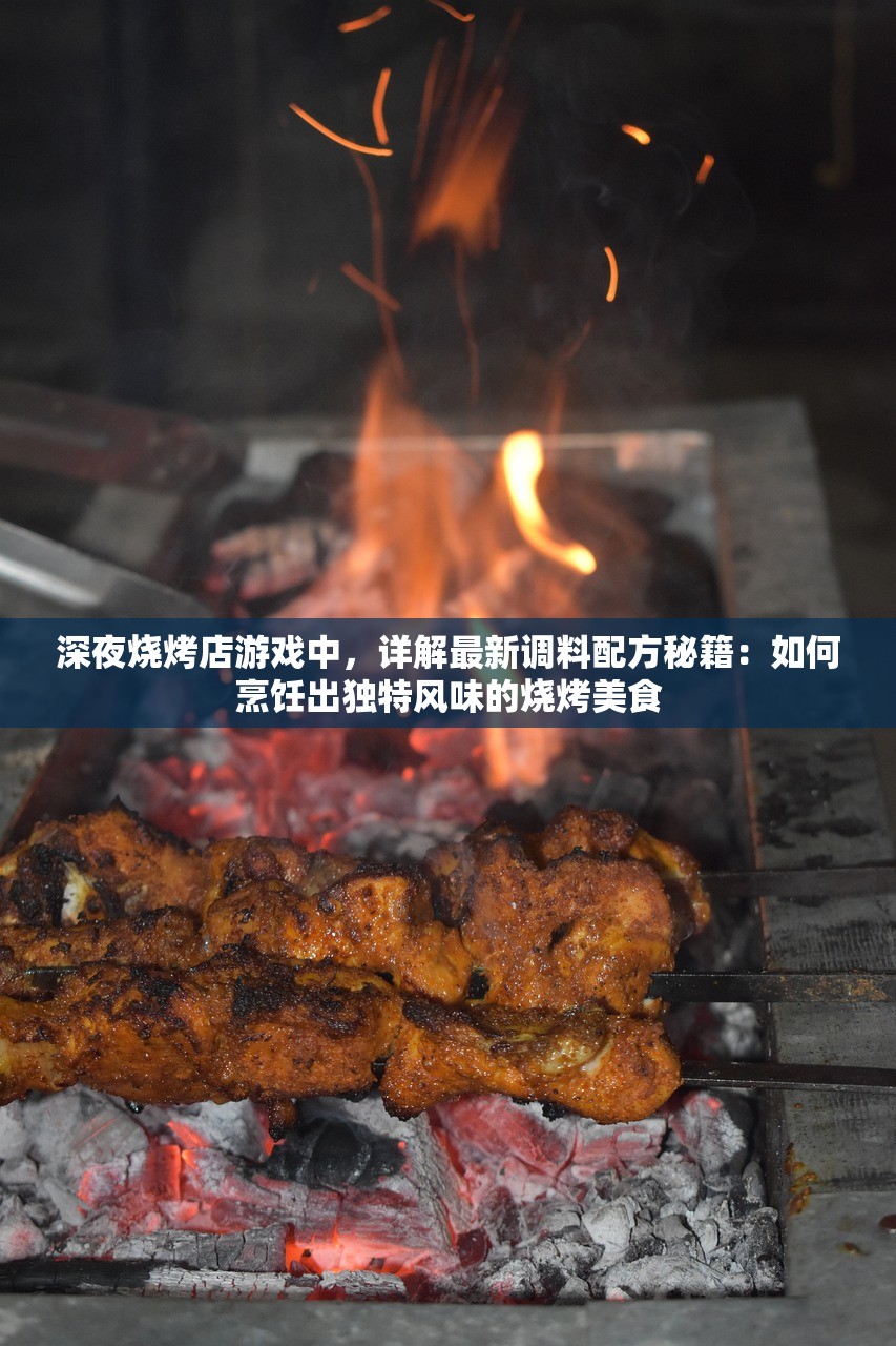 (艾尔之光露希尔图片)艾尔之光露希尔IN的意思解析