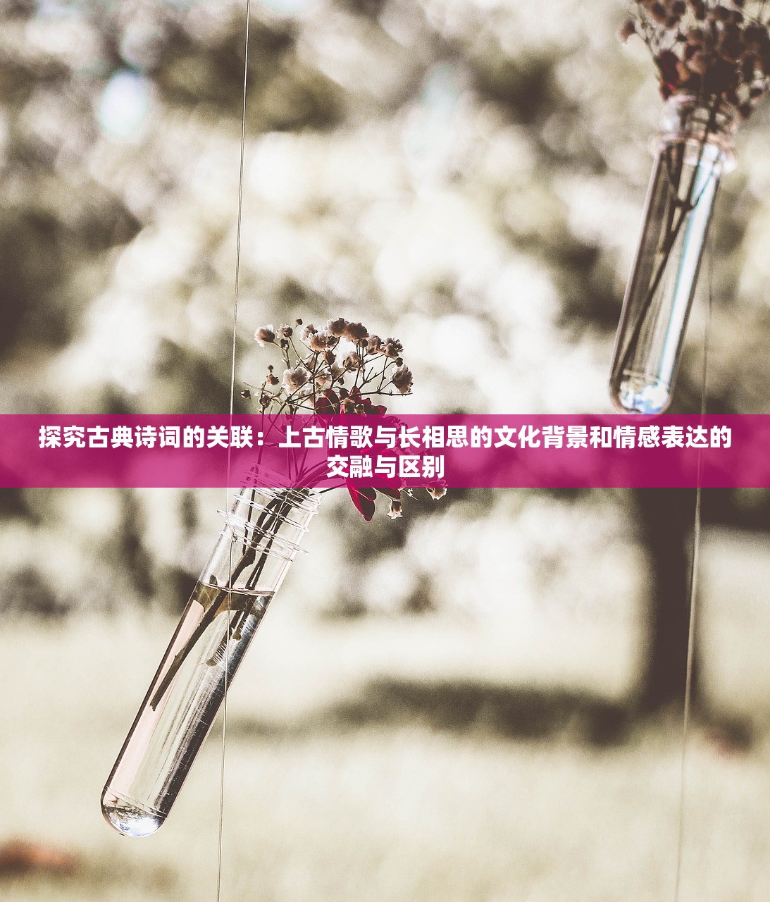 (中国有职业杀手吗知乎)中国有职业杀手吗，一个深入探究的话题与常见问答
