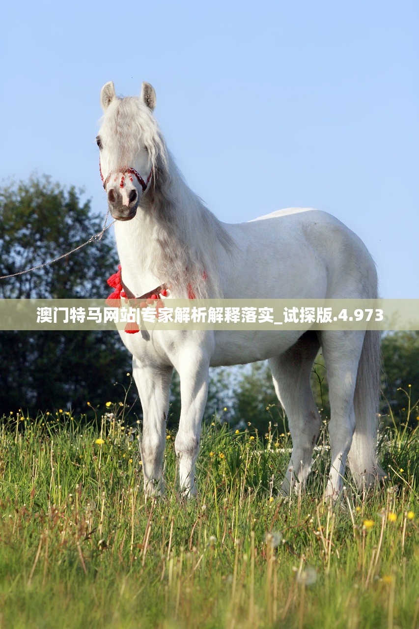 (梦幻西游动物园)微信小程序梦幻动物城，探索菜肴配方的奇幻之旅
