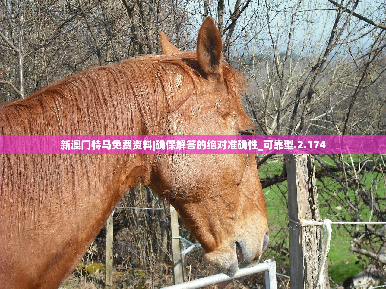 (天上白玉京全诗意思)天上白玉京，探寻全诗的奥秘