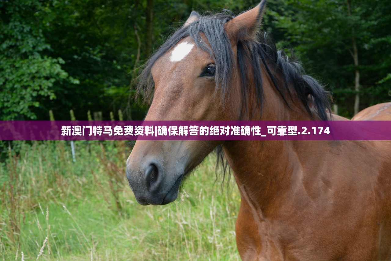 (航海霸业平民攻略大全)航海霸业平民攻略，从零开始打造你的海上帝国