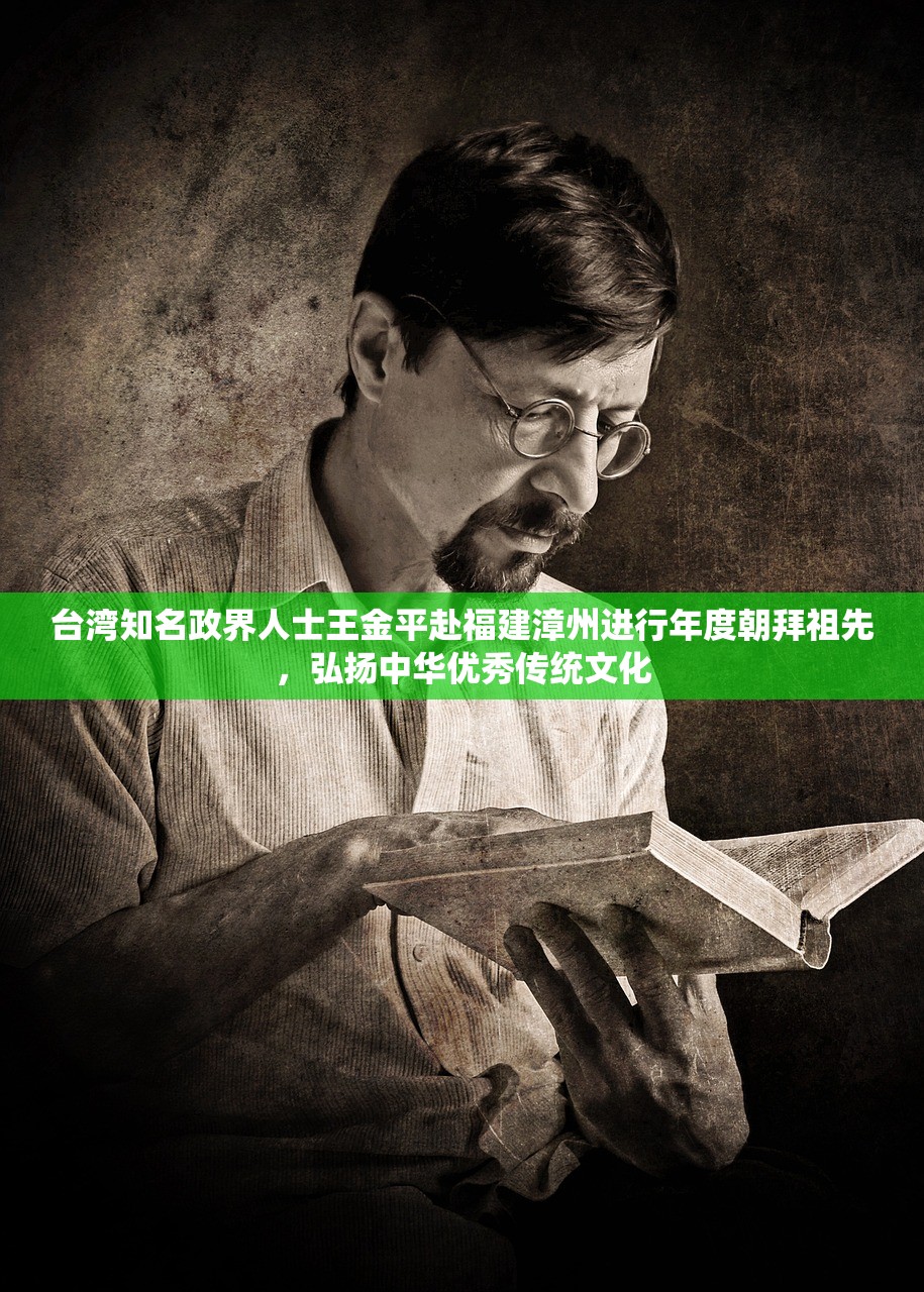 (绯石之心是哪家公司的产品)绯石之心公司宣布破产，深度分析与行业反思