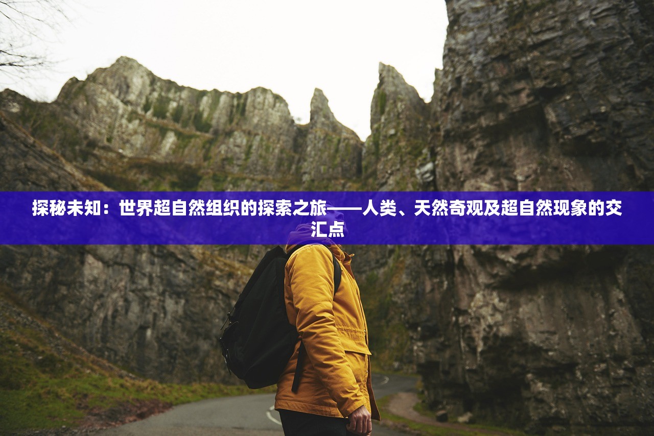 (挂出个三国最强阵容怎么玩)挂出个三国最强阵容，策略、英雄与战术的深度解析