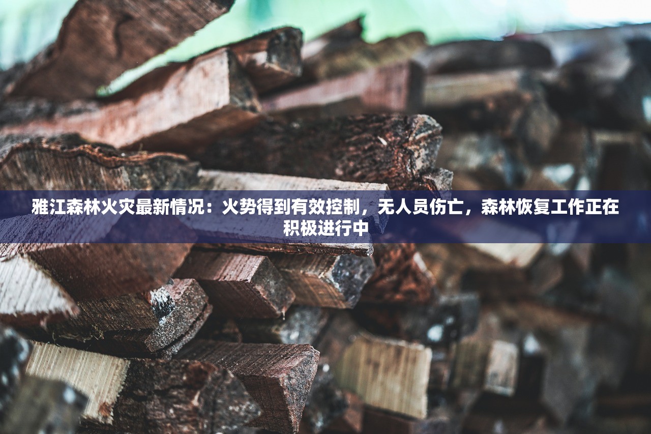 (战争艺术赤潮自走棋官网)战争艺术赤潮自走棋，策略与战术的完美结合