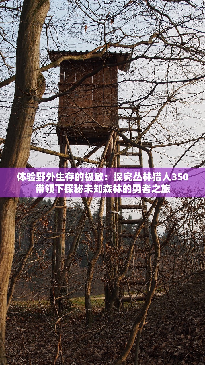(翡翠梦魇成就攻略)翡翠梦魇路线图，探索神秘之旅的指引