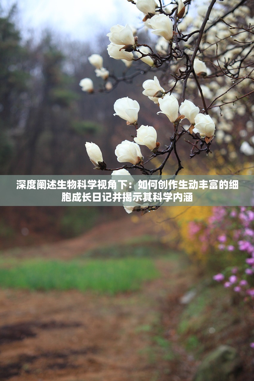 (代号鸢港服官网)代号鸢港服，游戏概述与常见问题解答