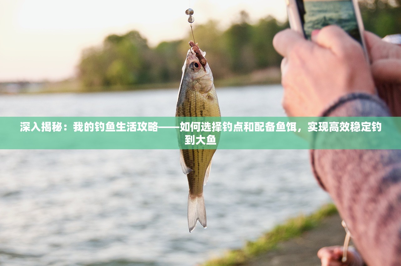 (奇点时代什么意思)奇点时代，探索这款游戏的独特类型