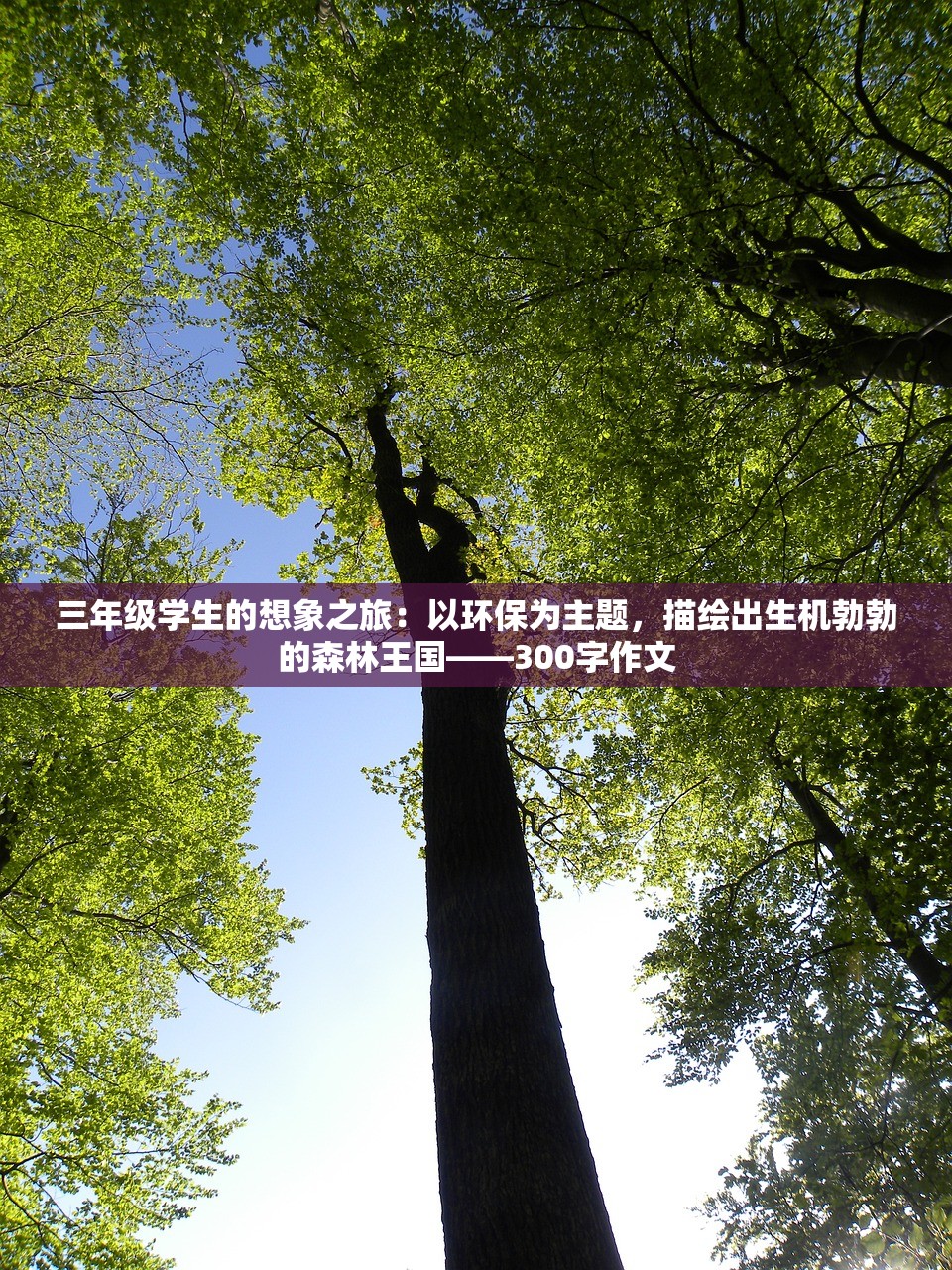(卡迪恩防线手游下载)卡迪恩防线的分兵策略，深度解析与实战指南