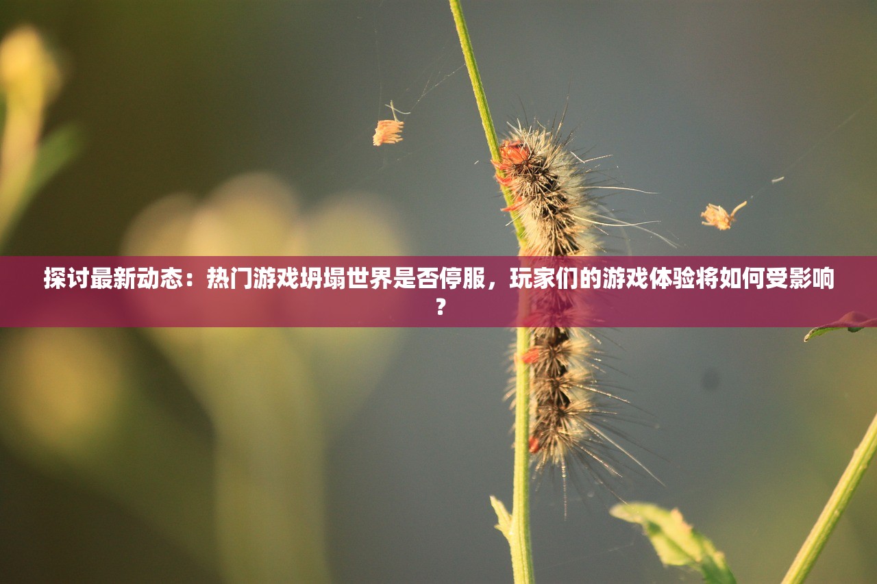 (幻兽契约cryptract)幻兽契约wiki，深入解析与常见问题解答