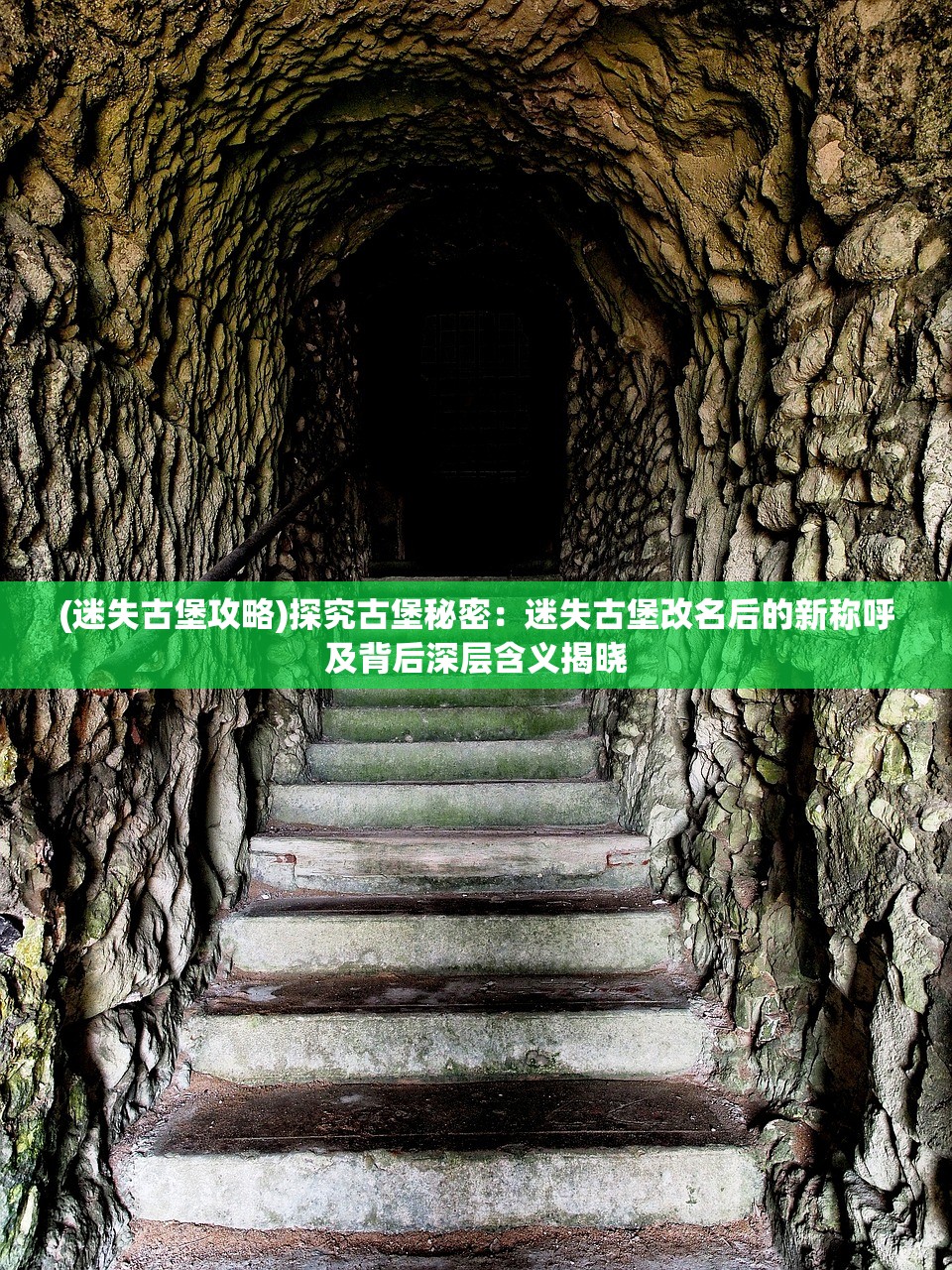 (皇后成长计划2攻略人物大全)皇后成长计划2全面攻略及常见问题解答
